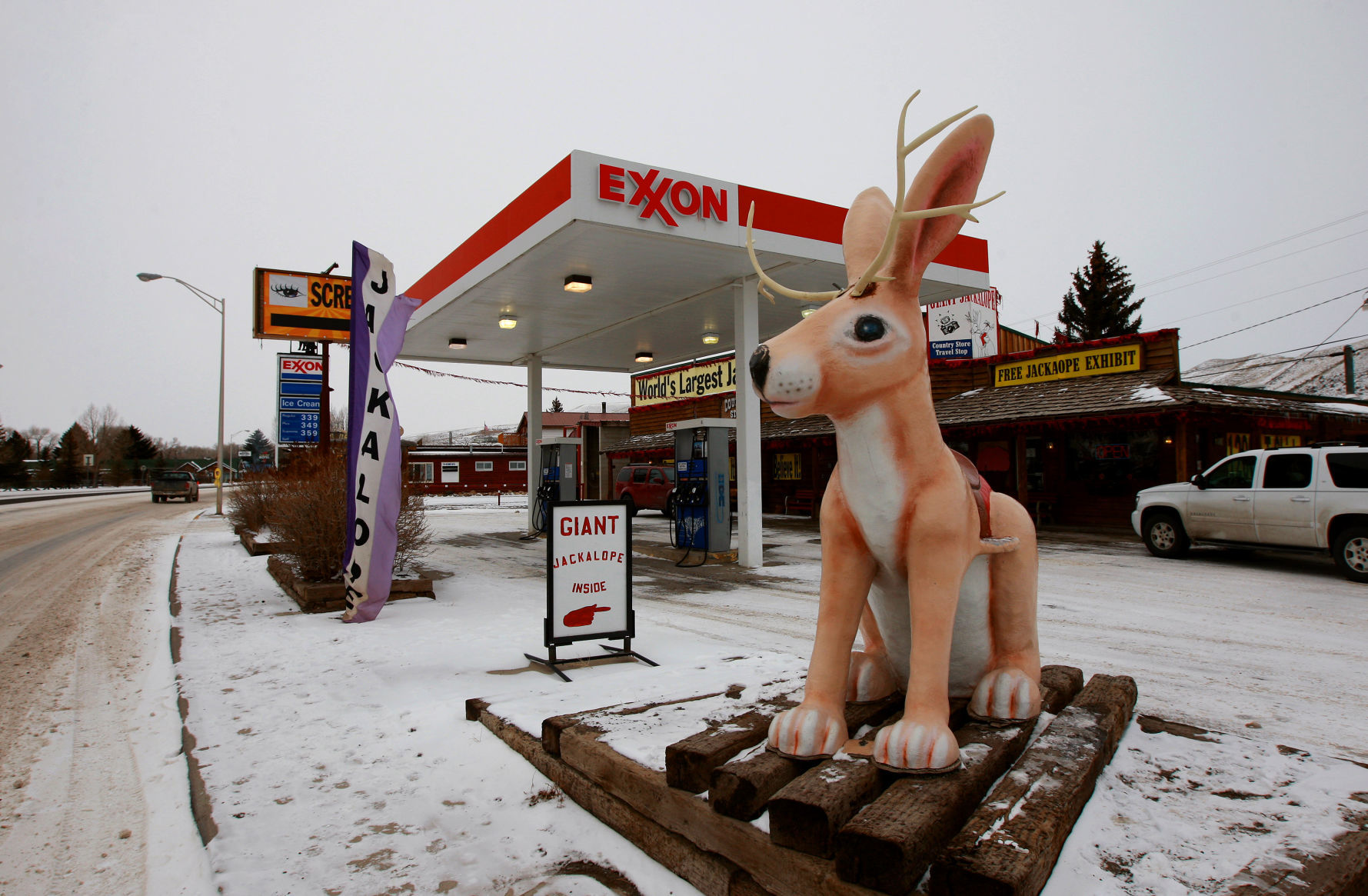You've ridden the jackalope in Dubois